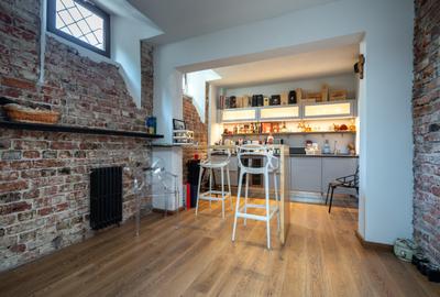 Historical villa Gradina Icoanei area - 20