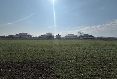 Teren intravilan 20 ari | Rădăuți | Front stradal 19.49 m - 4