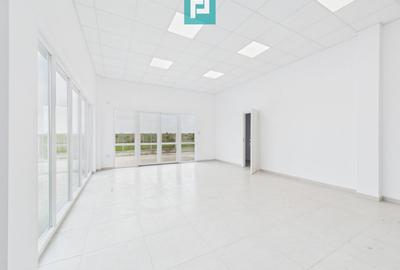 Hală nouă pentru depozitare/ activități comerciale - 13