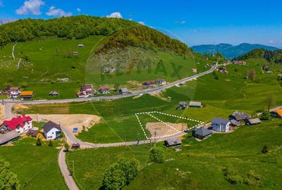 FUNDATA CENTRU | 3.962 mp ASFALT + UTILITĂȚI | Vedere Bucegi - 11