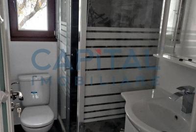 Casa tip duplex de vanzare, complet mobilata, curte amenajata, Moara Greci - 6