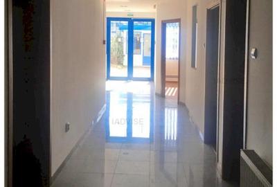 Spatiu productie/ depozitare/showroom - Zaharia Stancu - 6