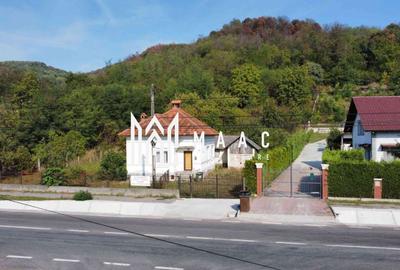 Casa de vanzare | teren intravilan| Troianu| 2166mp - 1