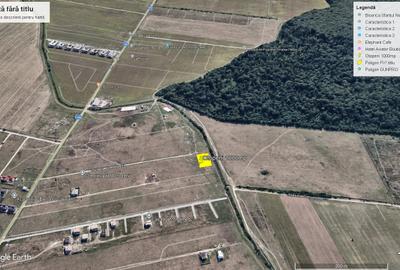 Otopeni -str 23 August, zona case noi - 6