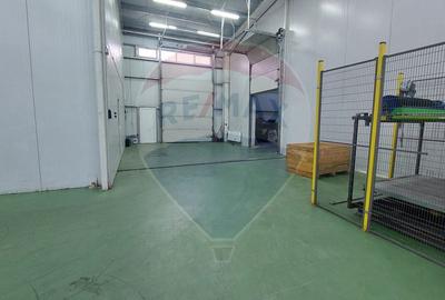 Depozit/Spațiu industrial Vaslui - 0% Comision cumparator - 30
