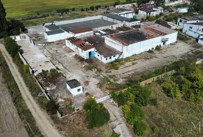 4 Hale + Teren intravilan | De vanzare | Salonta, jud. Bihor - 3