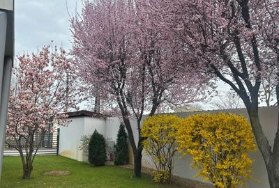 Locuinta P+1+pod mansardat ,merita vazuta de catre cei ce cauta o casa "cu stil" - 20