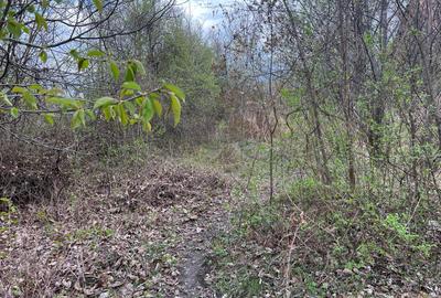 Breaza - str.Plaiului, Coasta Berzei nr.54, teren 1600 mp - 7