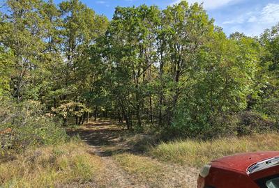 Terenuri in Cucorani - 4