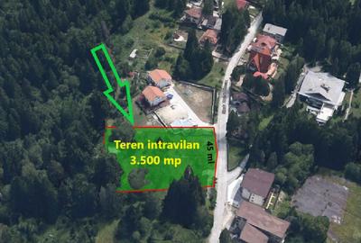 Teren intravilan 3.500 mp Cioplea - Predeal