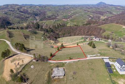 🌿 Teren Intravilan 3.791 mp | Priveliște Panoramică Superbă | Poiana Mărului - 4