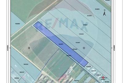 Vanzare teren rezidential 7500 mp Brasov, Halchiu / Strada Romana - 1