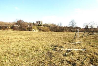 1000 MP, curs constructii langa oras! Vanzare teren intravilan in Targoviste Ale - 4