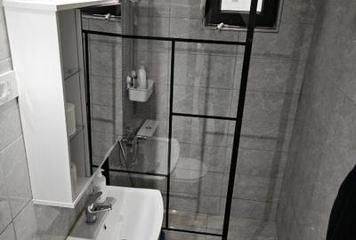 Inchiriere Apartament 2 camere renovat Gara de Nord - 6