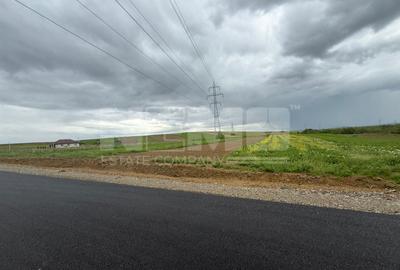 Teren Burdujeni | Zona Tarinca | 41 Ari - 1