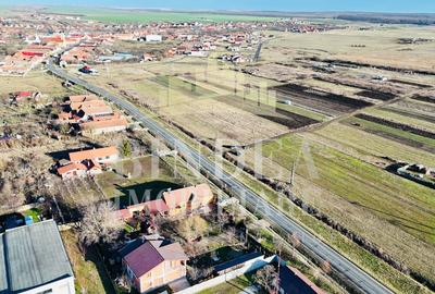 Parcele teren intravilan 1500mp la 15euro/mp in Pischia - 3
