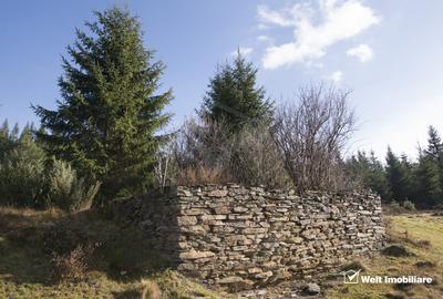 Eco Retreat Land in Apuseni Romania - Poiana Horea - 14