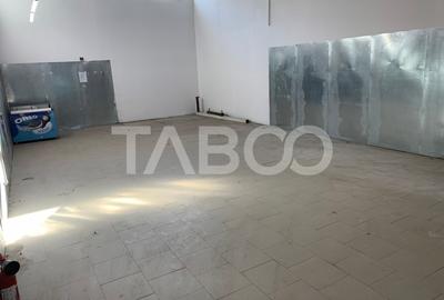 Spatiu comercial de tip Hala 490mpu de inchiriat in zona Siretului - 3
