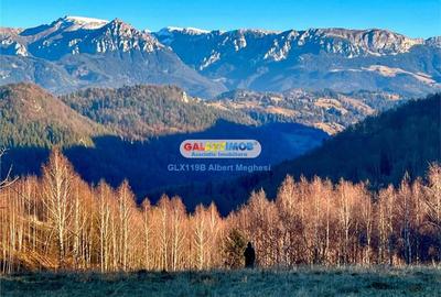 Teren intravilan de 10818 mp, în Moieciu de Jos