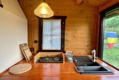 Proprietate de vis la munte  | Foisor + Cabanuta | Utilitati complete - 5
