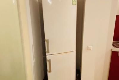 Lacul Tei - Inginerilor - 12