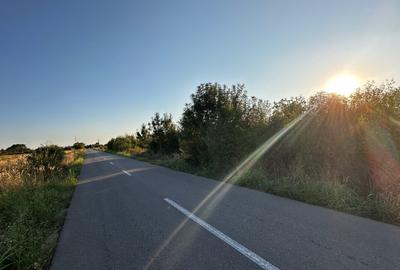 Teren 6700 mp Olteni, jud. Dâmbovița – la doar 900 m de Autostrada A1 (km 63) - 3