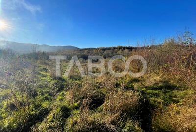 Investitie imobiliara Teren 14100 mp cu PUZ si PUD aprobat in Cisnadie - 4