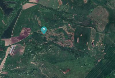 Teren de 195 Hectare Arabil în Cincu, Brașov - 1