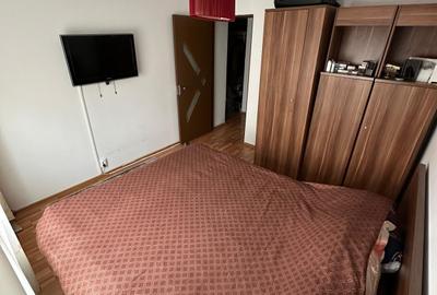 Teiul Doamnei vanzare ap 2 camere Grigore Ionescu la cheie - 2