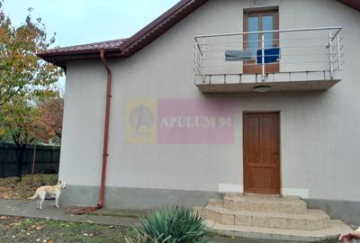 DE VANZARE CASA IN COM. BRANESTI (IF) - 33