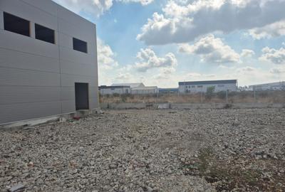 De inchiriat Hală Premium Nouă (470 mp) - Chiajna-Ilfov - 3