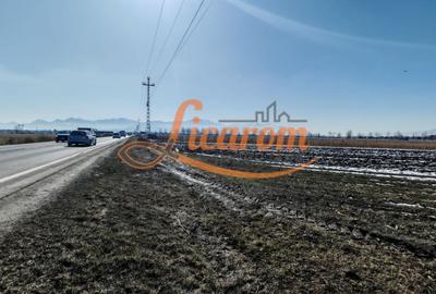 Teren Stupini Calea Feldioarei 11800 mp,25 euro/mp, front asfalt-DN13 - 6