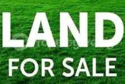 MOARA VLASIEI - limita A3/industrial/parcelabil/50.000 mp - 1