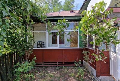 Casa din livadă – colț de rai în Suseni, Argeș - 4