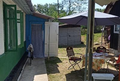 Vând casă parinteasca localitatea Vlădeni, com. Corlăteni, jud. Botoșani - 8