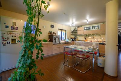 CASA - 240 mp,  teren 806 mp, strada Voinesti nr. 19, Iași - 4