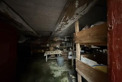 CASĂ CU 2 CORPURI  - ORAȘ RUPEA - 14