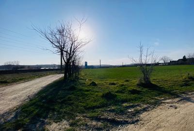 Teren Ovidiu - Peco Celsy - 5.500 mp lângă A2 – dublă deschidere - utilități - 6