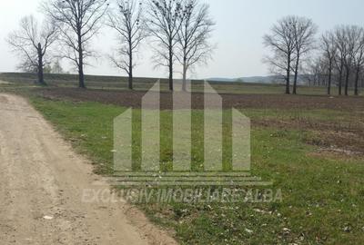 Teren intravilan | De vanzare | 10000 mp | 50 ml deschidere | Partos - 1