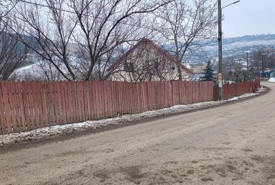 Teren 704 mp Breazu – asfalt + utilități – priveliște spre pădure – ideal casă - 4