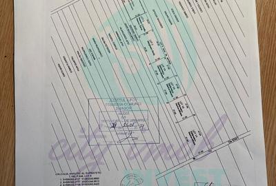 Vanzare teren constructie casa CIOFLICENI - SNAGOV - 4