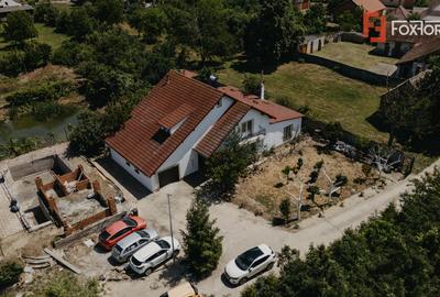 Casa individuala cu 8 camere si lac cu pesti, teren 4424 mp - Jebel - 34