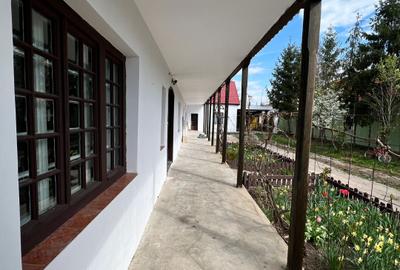 Comision 0 - Centru - Sanandrei - Casa renovata + teren 1850 mp - 9