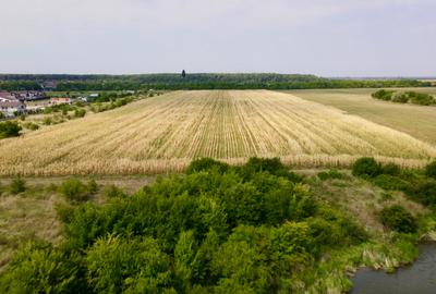 Oportunitate Investitie Teren 5.4HA  Deschidere la Lac, Padure, Paradisul Verde - 2