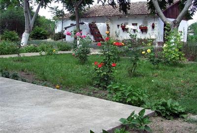 Conac boieresc - 5 camere - Nicolae Balcescu - 105.000 euro (Cod E11) - 17