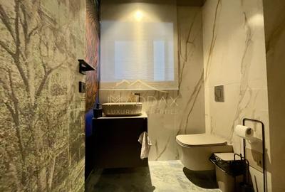 Duplex 3 camere//Birou*Cabinet**Showroom//DOMENII//PARTER+ Demisol - 9