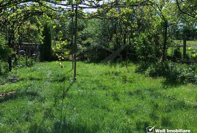 De vanzare casa  cu teren 1520mp sat Dumbrava, Capusu Mare - 11