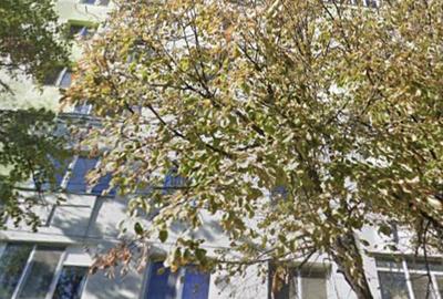 Colentina,Mc.Donald's Rau Bacila - 1