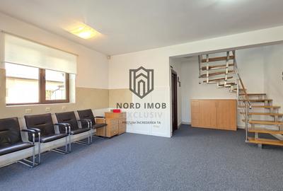 Duplex reprezentativ pentru birouri–4 camere | Recent renovat | 2 locuri parcare - 12