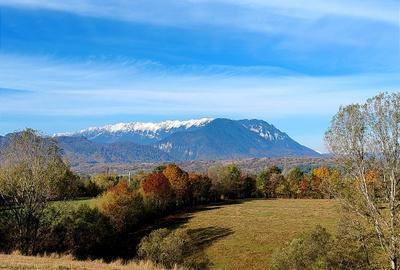 5800 mp fineata, pretabil camping, constructii A-frame, Sohodol, Bran - 1